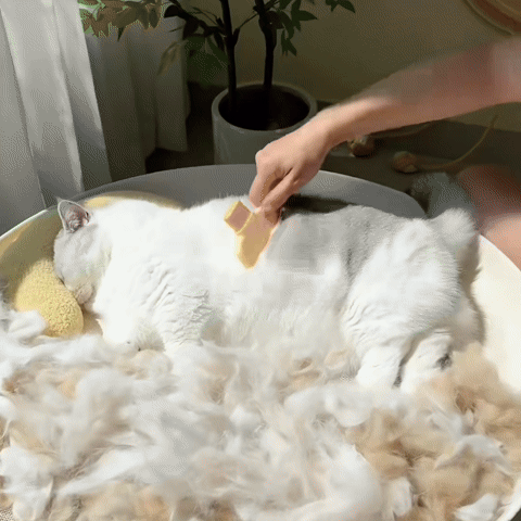 FlickFur