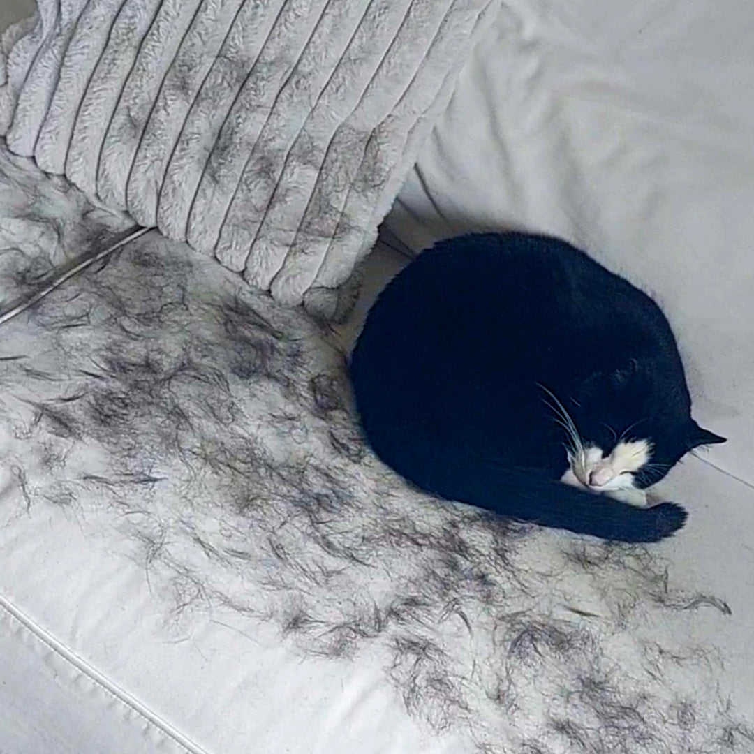 FlickFur