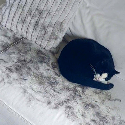 FlickFur